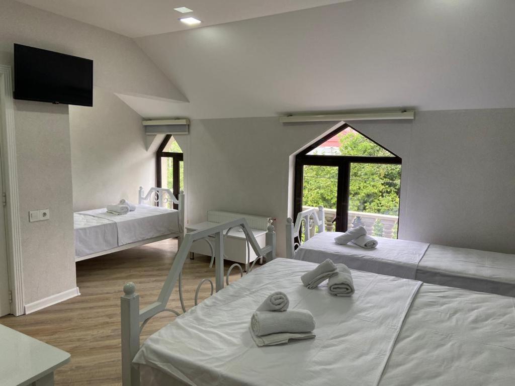 Viva Hotel Gabala With Outdoor Pool ,Sauna And Waterfall Eksteriør bilde